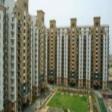 Residential Apartment 5 Bhk  Rent Sector 30 Gurgaon